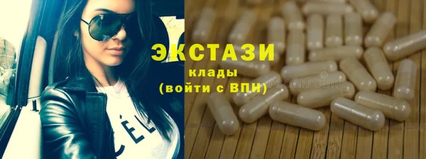 дживик Няндома