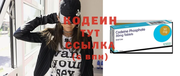 дживик Няндома