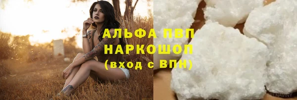 дживик Няндома