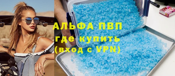 дживик Няндома