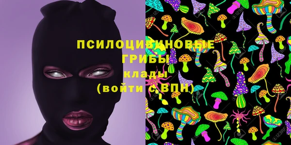 MDMA Premium VHQ Новозыбков