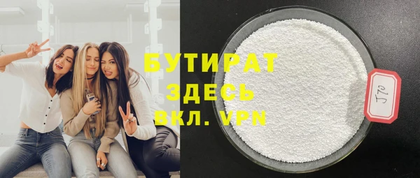 дживик Няндома