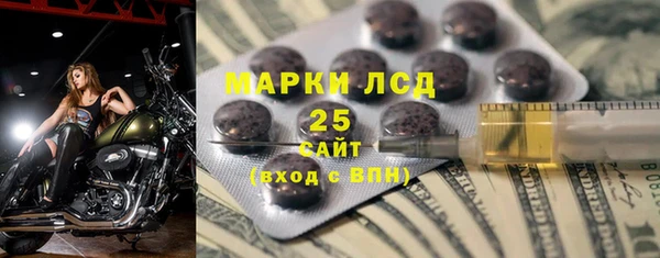 дживик Няндома