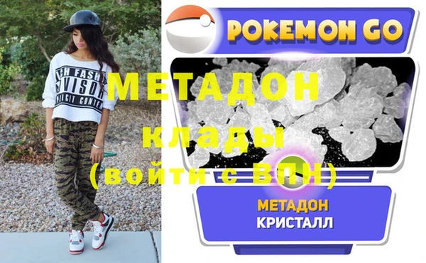 дживик Няндома
