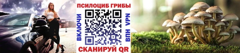 Псилоцибиновые грибы Magic Shrooms  Княгинино 